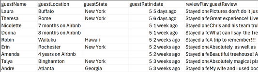 Airbnb Review Export